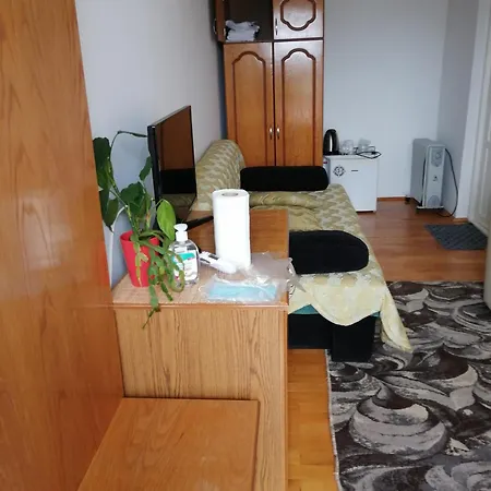 Guest house Pensiunea Lucia Ana